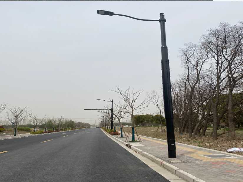 肇州县上海综合杆 太阳能路灯工程